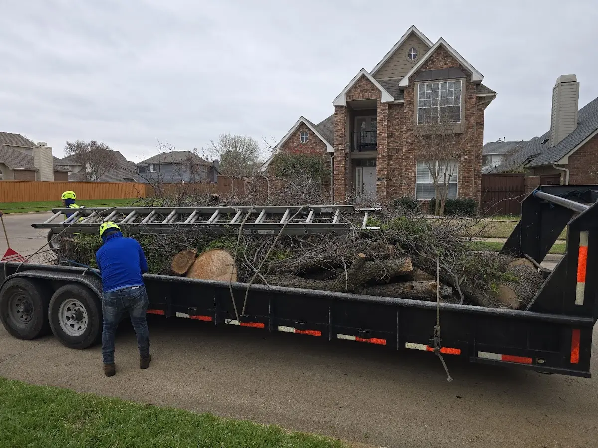 Expert Tree Fertilization with proper safety equipment in Lottie